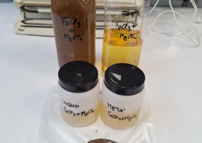 campioni fango filtrato panello FeCl3 magnesio